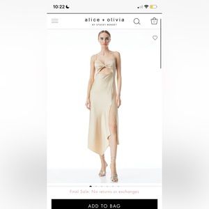 Harmony Asymmetrical Drapey Dress